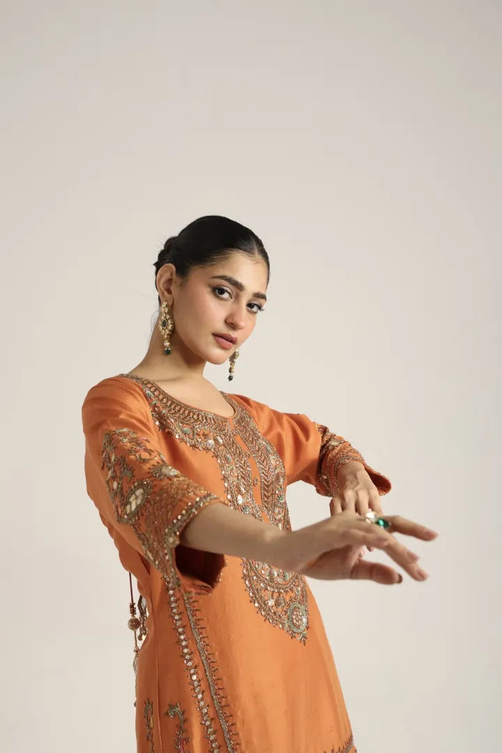 Noor Terracotta & Sage Embroidered Sharara Set